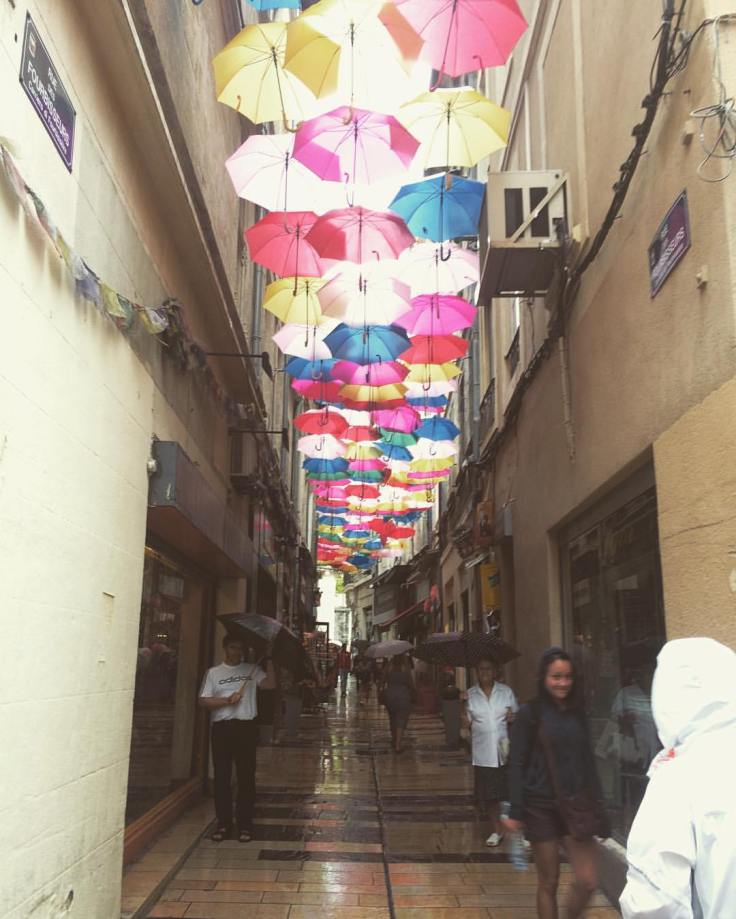 13724102_10208049081197348_8759329954665292679_o